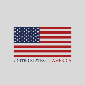 USA Pocket Flag